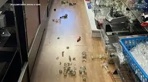 🌍💥 SHAKEN NOT STIRRED! 4.6 Magnitude Earthquake Rocks Santa Cruz Mountains – Bay Area JOLTED Awake!